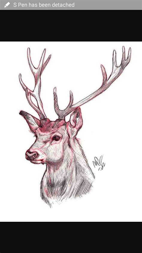 Pin By Abbagail Collick On Inspiration Deer Sketch Deer Drawing