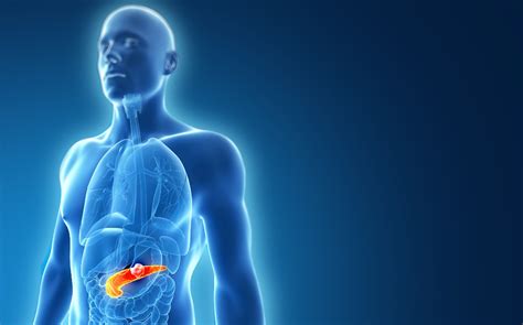 Tumores De Páncreas Qué Son Síntomas Diagnóstico Y Tratamiento