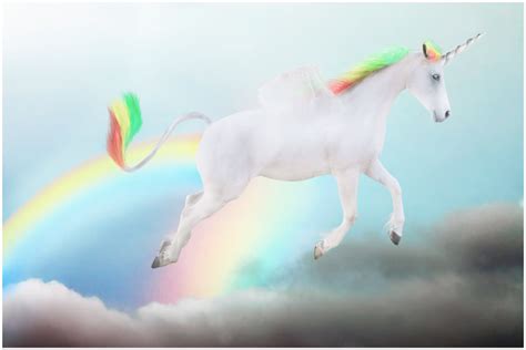 Unicorn Farting Rainbows By Ierpier On Deviantart