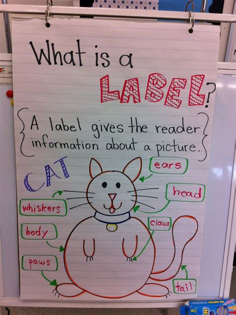 Maybe you would like to learn more about one of these? First Grade Garden: B is for Bubbles and Non-Fiction ...