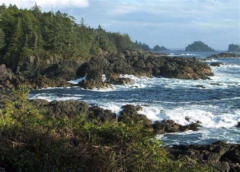 Pacific Rim National Park Tofino 2023 Alles Wat U Moet Weten