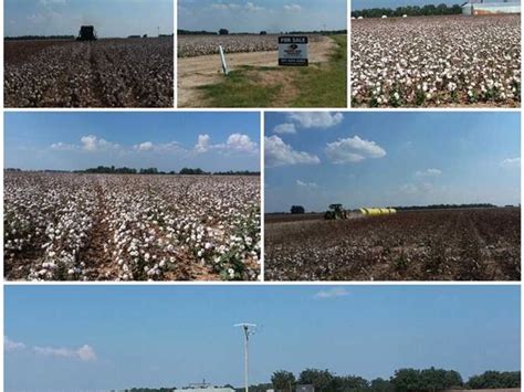 Price Reduced 539 Acre Cotton Ranch For Sale In Marion