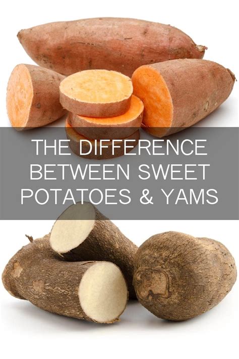 The Difference Between Sweet Potatoes And Yams Thecookful