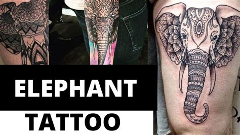 Top Beautiful Elephant Tattoo Designs Inspirational Elephant Tattoos