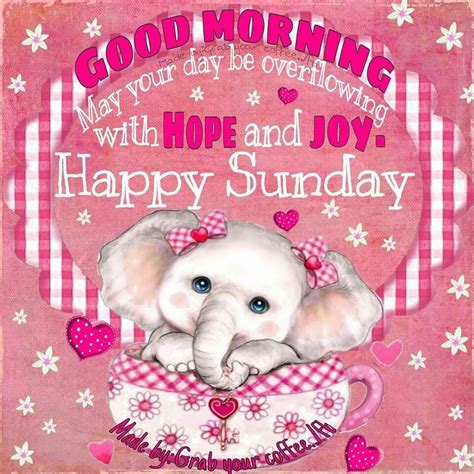 Good Morning Happy Sunday Pictures Photos And Images