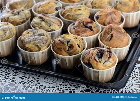 Freshly Baked Blueberry Muffins Stock Photo Image Of Dough Cupcake