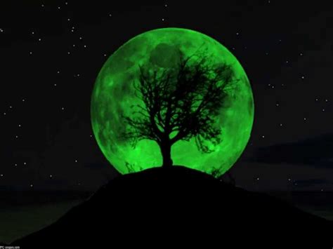 People Believe Moon Will Turn ‘green Today After 420 Years