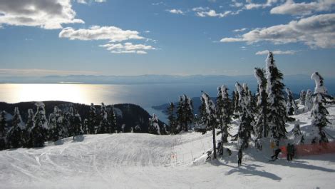 Some are known as koellias, after an obsolete genus name. HostelTimes: Vancouver: Winter Enjoyment within 30 min!