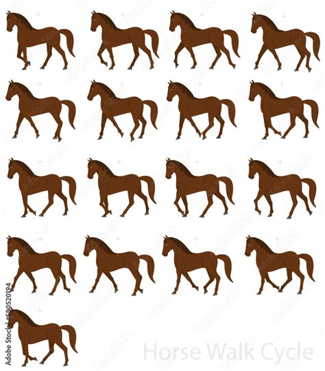 Horse Walk Cycle Animated Brown Horse With Loopable Gait Cycles