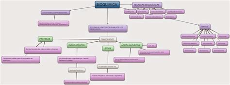 QuÍmica BioquÍmica