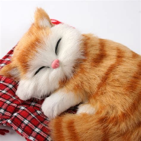 Buy 6 Colors Cute Kitten Toys Simulation Animal Dolls