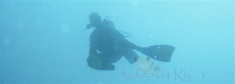 Costa Rica Scuba Diving Padi Certification In Coco Part Iii
