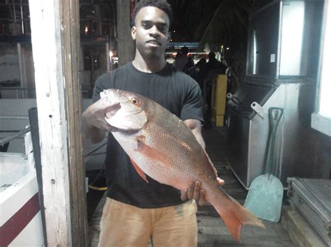 Nice Mutton Snapper Caught Last Night On Our Anchor Trip Nice Snappers