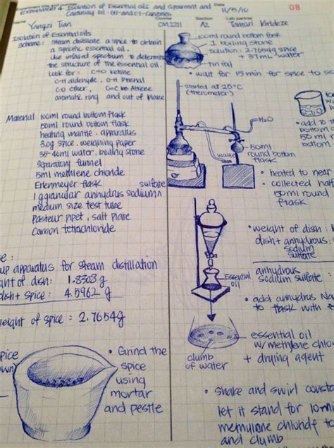 How To Write A Good Lab Book Aiden Writing