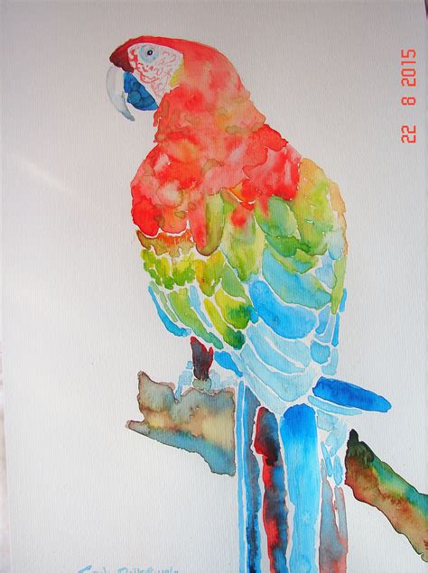 Parrot Macaw Watercolour Art Rainbow Coloured Parrot Wall Art Etsy