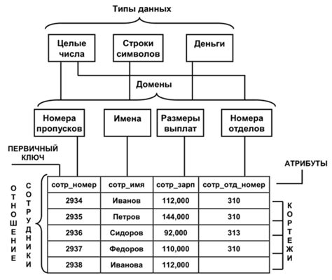 РЕЛЯЦИОННЫЕ БАЗЫ ДАННЫХ, Основные понятия реляционных баз данных, Тип ...