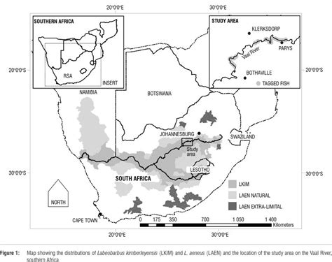 Map provides the location of the administrative capital pretoria and international boundaries of south africa. Habitat preferences and movement of adult yellowfishes in the Vaal River, South Africa