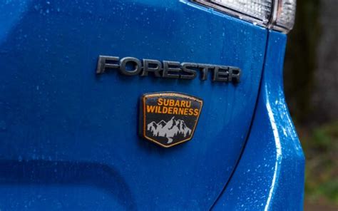 Forester Wilderness Logo Niestcar
