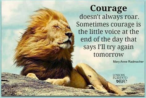Courage Courage Quotes Lion Quotes Tiger Quotes