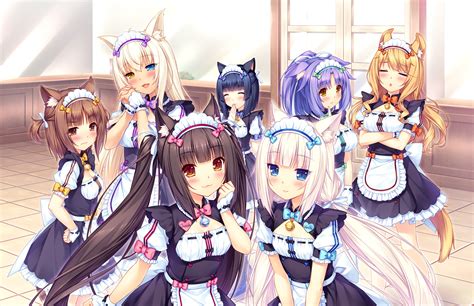 Aliasing Animal Ears Apron Azuki Sayori Bell Bicolored Eyes Black