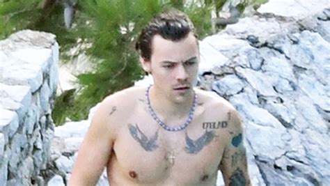 harry styles goes shirtless during getaway to the amalfi coast pic hollywood life