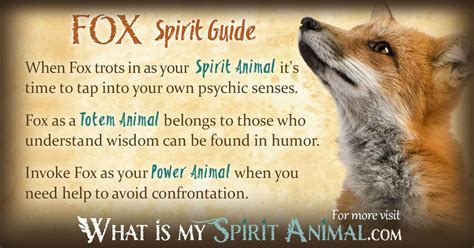 Fox Symbolism And Meaning Spirit Totem And Power Animal Spirit Animal