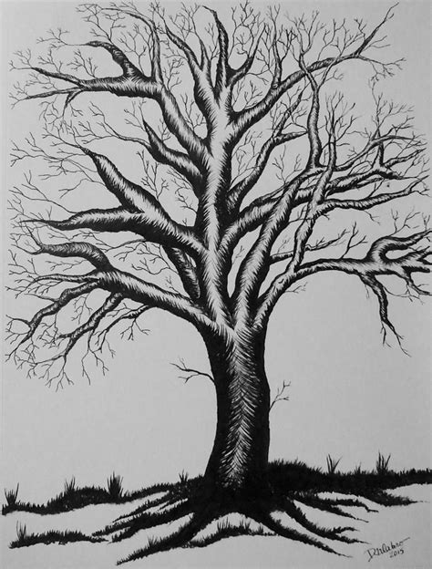Lonely Tree Drawing By Lorena Calabro Fine Art America