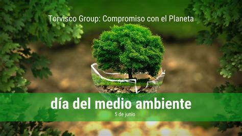 Torvisco Group Y Su Compromiso Con El Medio Ambiente Blog TORVISCO