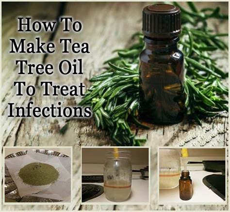 How To Make Tea Tree Oil Howto Techno