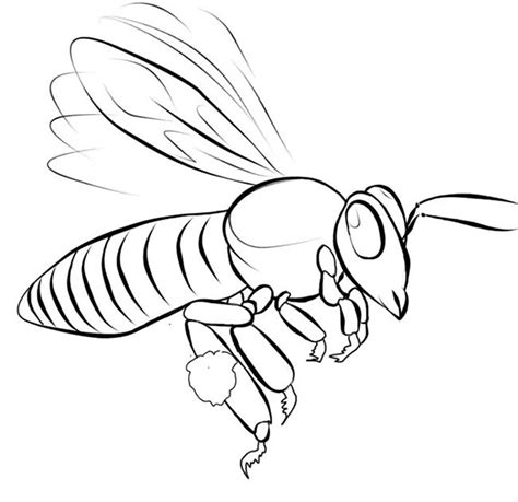 Bee Template Animal Templates
