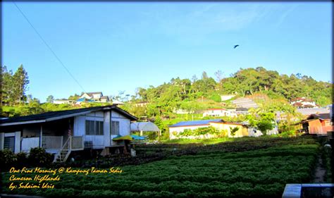 Plan your holiday in cameron highlands at our homestay, neeza chalet. Marina Chalet & HomeStay, Cameron Highlands: Photos by ...