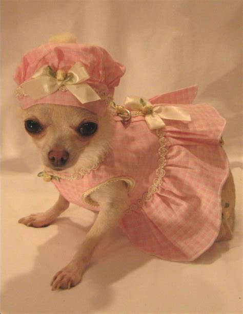 Little Darling Harness Dress Setdog Clotheschihuahua Xsml Ebay