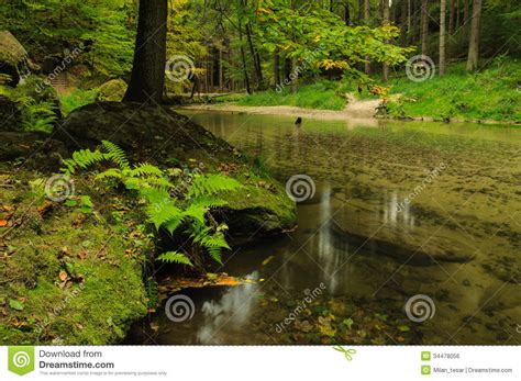 Calm Autumn Forest River Stock Photo Image Of Leaf Tourism 34478056