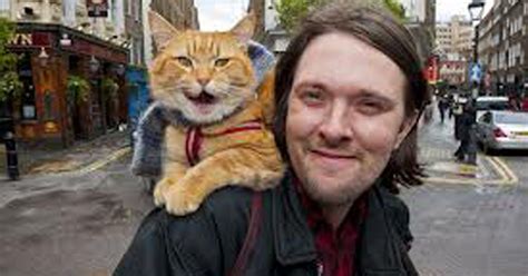 Fenton the Dog to a Streetcat Named Bob: Meet the UK's most influential ...