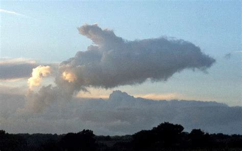 Refreshing News Clouds That Look Like Things 12pics