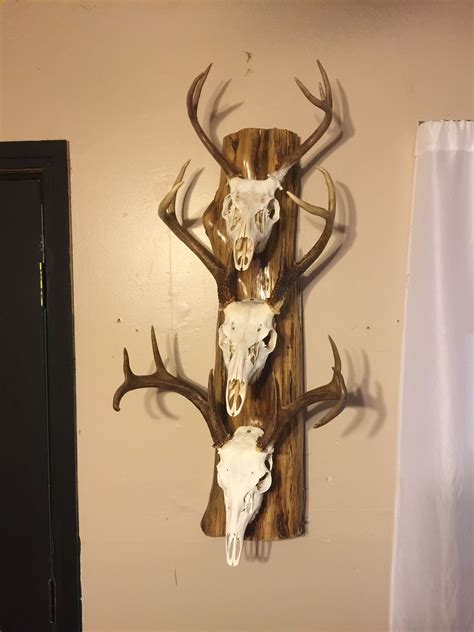 Neat Idea For Euro Mounts Hunting Home Decor Hunting Room Hunting Art
