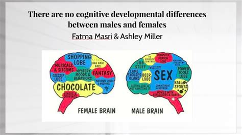 Cognitive Differences In Genders By Fatma Masri On Prezi