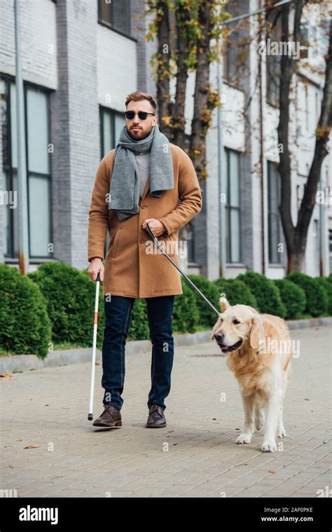 Blind Man Walking With Guide Dog On Urban Street Stock Photo Alamy