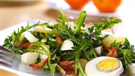 5 Dandelion Greens Recipes for Salad & More | Dandelion greens recipes, Greens recipe, Dandelion ...