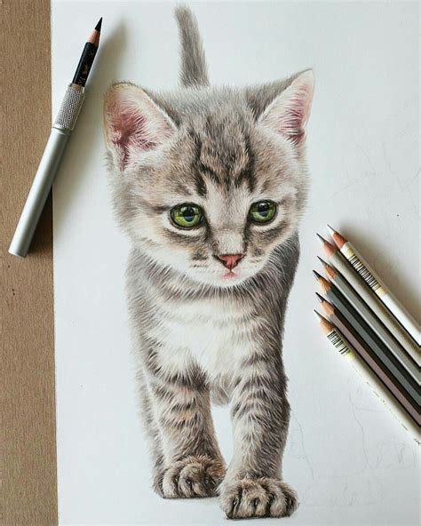 Dibujos Animales Para Dibujar Con Color 40 Images Result Dosoka