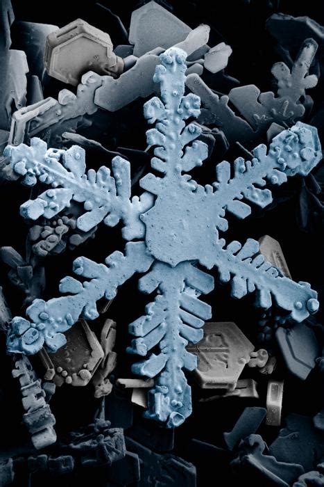 Snow Crystal Under An Electron Microscope Free Image Download