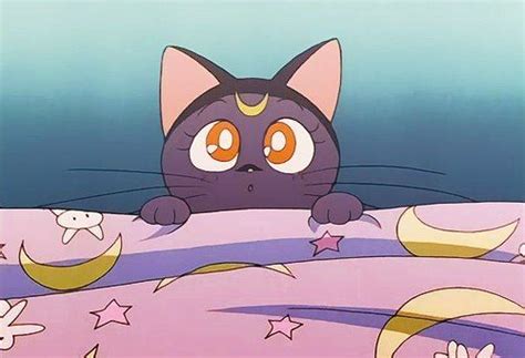 Anime Cat And Luna Image With Images Sailor Moon Cat Sailor Moon