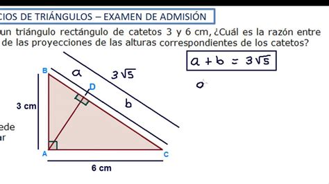 Problema Resuelto De Triángulo Rectángulo Catetos Y Proyecciones De