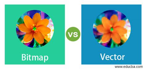 Bitmap Vs Vector 17 Amazing Comparisons Of Raster Vs Vector