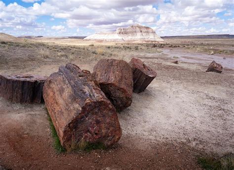 One Day In Petrified Forest National Park A Complete Guide Uprooted