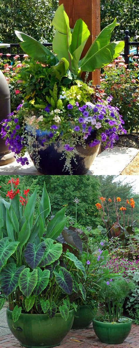 24 Stunning Container Garden Planting Designs Page 2 Of 3 A Piece