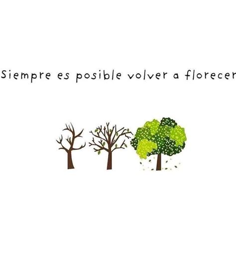 Detalle 55 Imagen Arbol Con Frases Positivas Vn