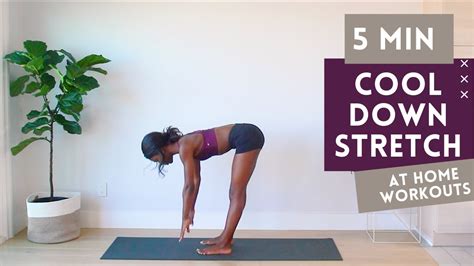 5 Min Full Body Cool Down Stretches Post Workout For Flexibility