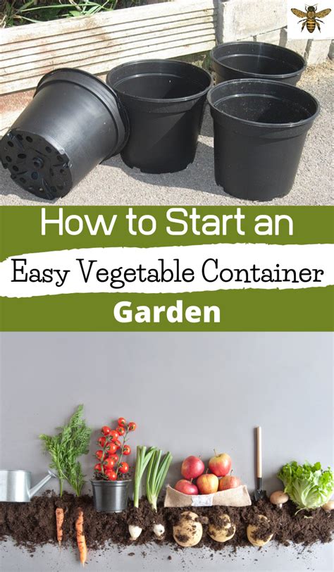 How To Start An Easy Vegetable Container Garden Container Gardening
