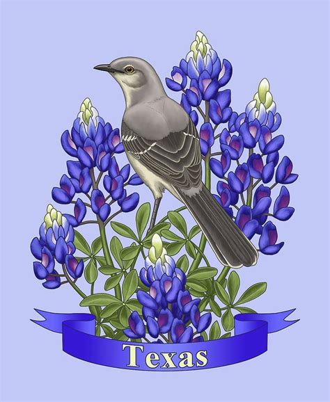 Texas State Mockingbird And Bluebonnet Flower Painting By Crista Forest